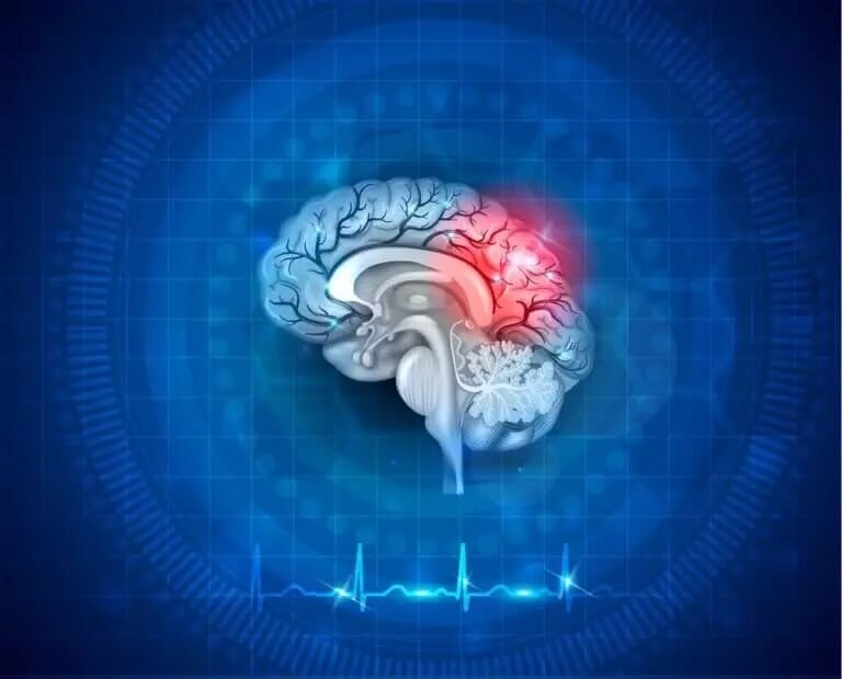 Neuroplastyczność mózgu
