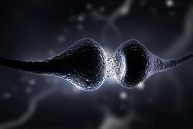 Regeneracja neuronów