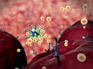 Odpowiedź immunologiczna: co musisz wiedzieć