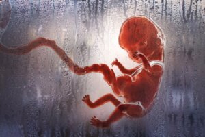 Rodzaje aborcji - wszystkie niezbędne informacje