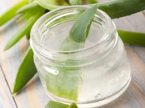 Aloes