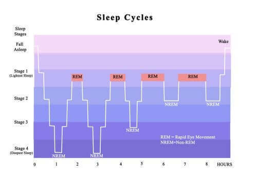 Cykl snu