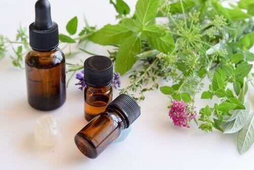 Olejek z oregano