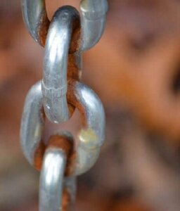 Na czym polega odporność i jak być odpornym?