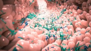 Standardowy mikrobiom i jego cechy