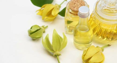 Olejek ylang ylang