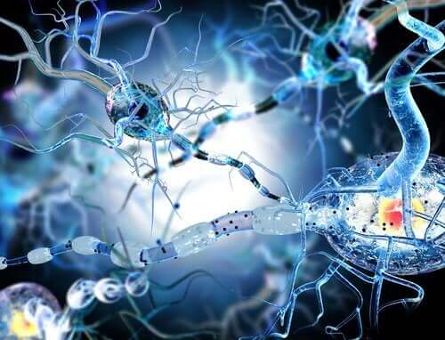 Neurony