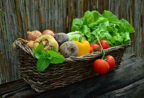 Odpowiednia dieta dla osób chorych na raka