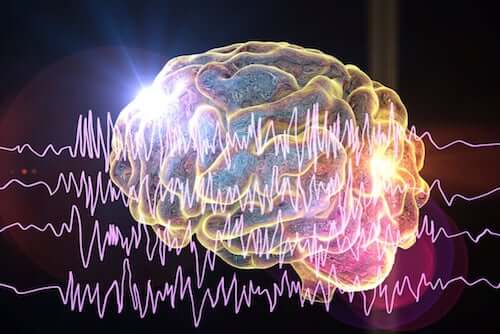 EEG mózgu
