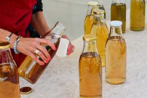 Herbata kombucha: charakterystyka i ryzyko