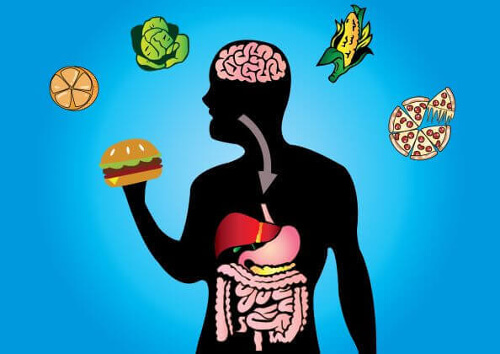 Elastyczność metaboliczna