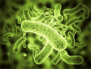 Kryptosporydioza: na czym polega to schorzenie?