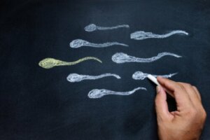 Zwiększenie poziomu testosteronu - 6 skutecznych sposobów