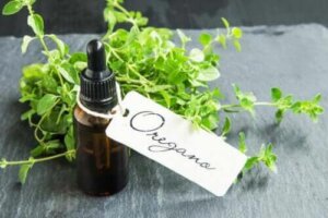 Domowej roboty olejek z oregano - jego przygotowanie i zalety