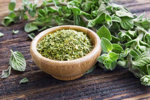 Oregano