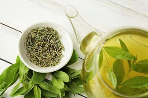 Zalety zielonej herbaty - czy wydłuża ona nasze życie?