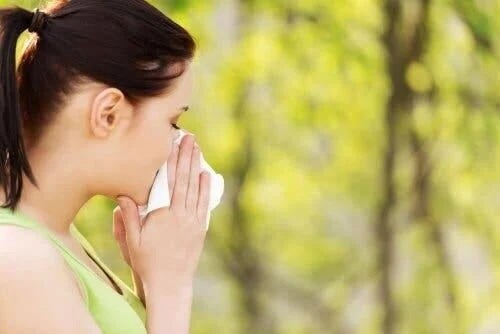 Alergia na pyłki – 5 najlepszych naturalnych środków