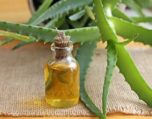 Naturalne środki na bazie aloesu czy oliwy z oliwek wzmacniają cebulki włosów.