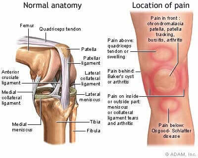 Diagram kolana