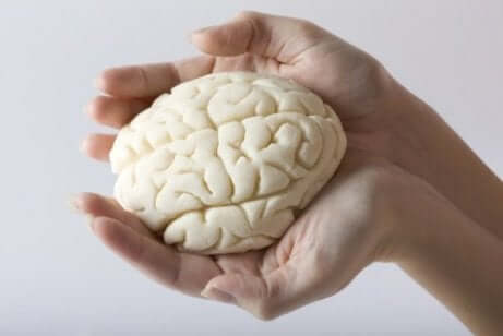 Mózg w dłoniach