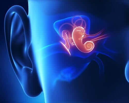 Organ słuchu - głuchota przedjęzykowa