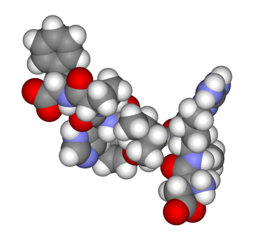 Androgen