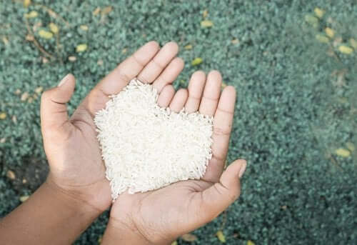 Dłonie pełne ryżu