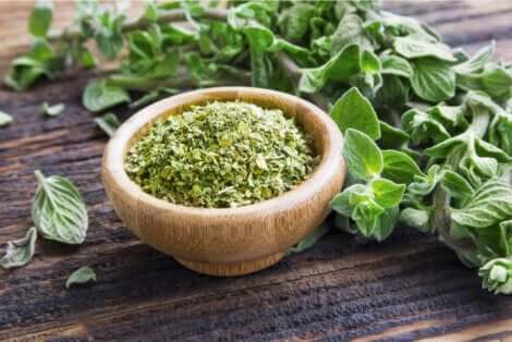 Oregano