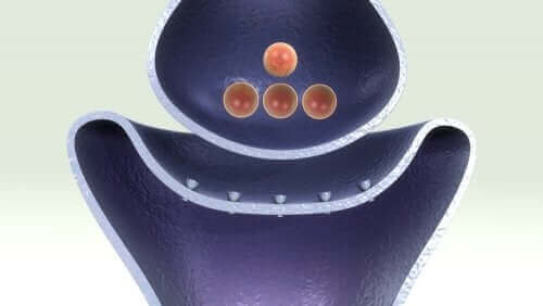 Receptor