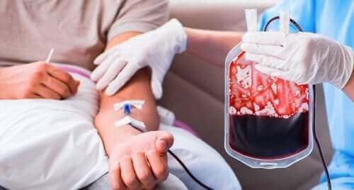 Sztuczna krew do transfuzji - na czym to polega?