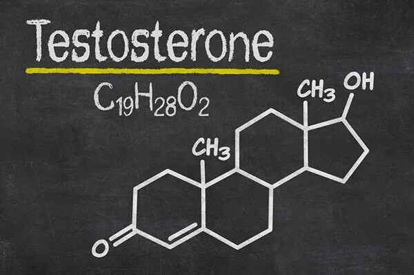 Hormony płciowe - testosteron