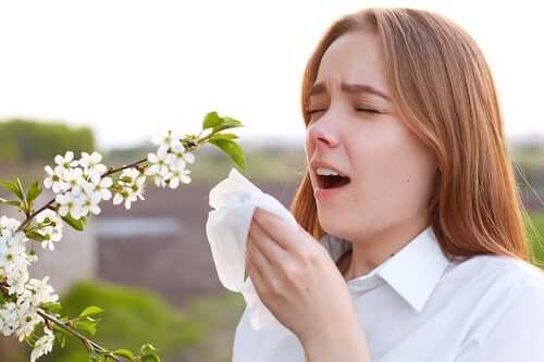Alergia na pyłki
