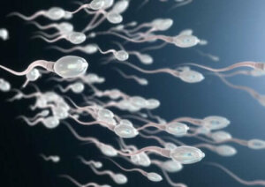 Asthenozoospermia: wszystko, co musisz wiedzieć