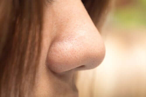 Typowy nos