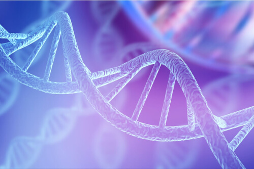 DNA