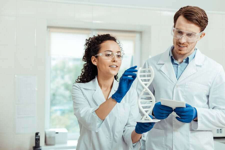 Naukowcy badający DNA