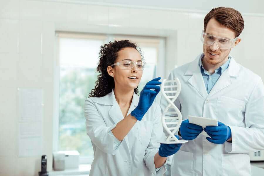 Naukowcy badający DNA