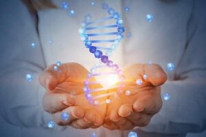 Na czym polegał projekt poznania ludzkiego genomu?