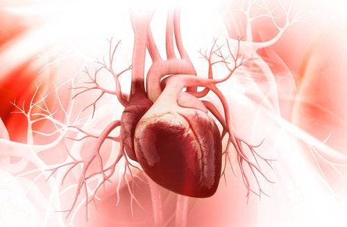 Zdrowe serce – siedem przydatnych wskazówek