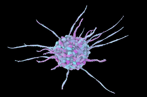 Antygen