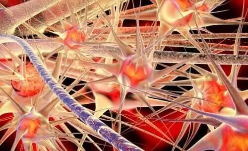 Neurony