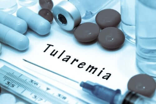 Tularemia: poznaj przyczyny i objawy tej choroby