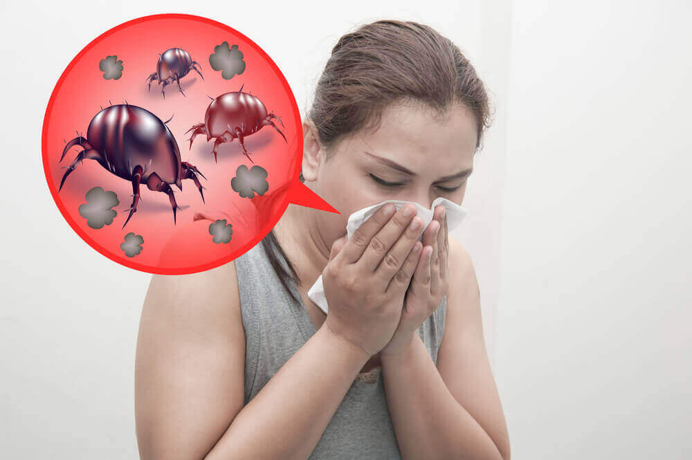 Alergia