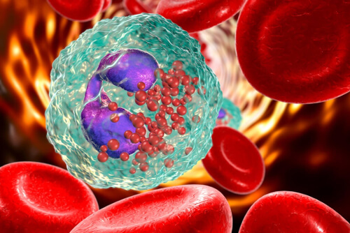 Komórki krwi - aplazja rdzeniasta