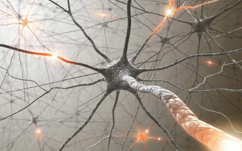 Neurony