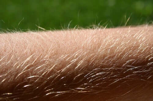 Owłosienie na ręce