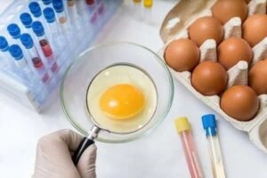 Salmonelloza i wskazówki dotyczące jej zapobiegania