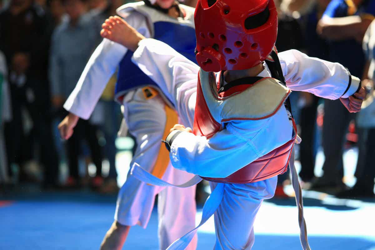 W taekwondo stosuje się ochraniacze.