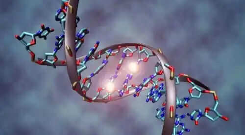 DNA
