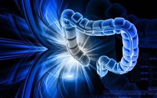 Nieszczelne jelita - w jaki sposób pojawia się ten problem?